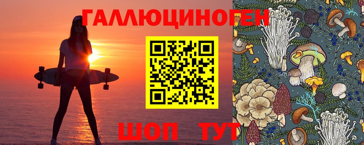 Иваново  Псилоцибиновые грибы мухоморы  Вход с VPN 