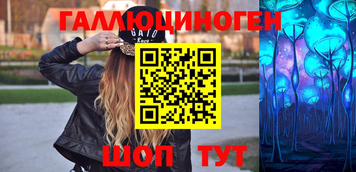 Галлюциногенные грибы Psilocybine cubensis Иваново